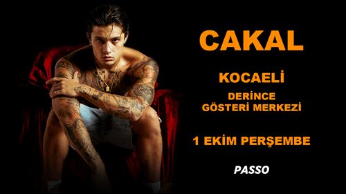 Cakal | Kocaeli