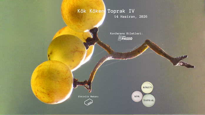 Kök Köken Toprak IV