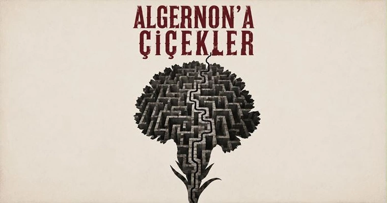 Algernona Çiçekler