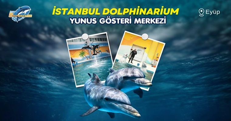 İstanbul Dolphinarium | Yunus Gösterisi