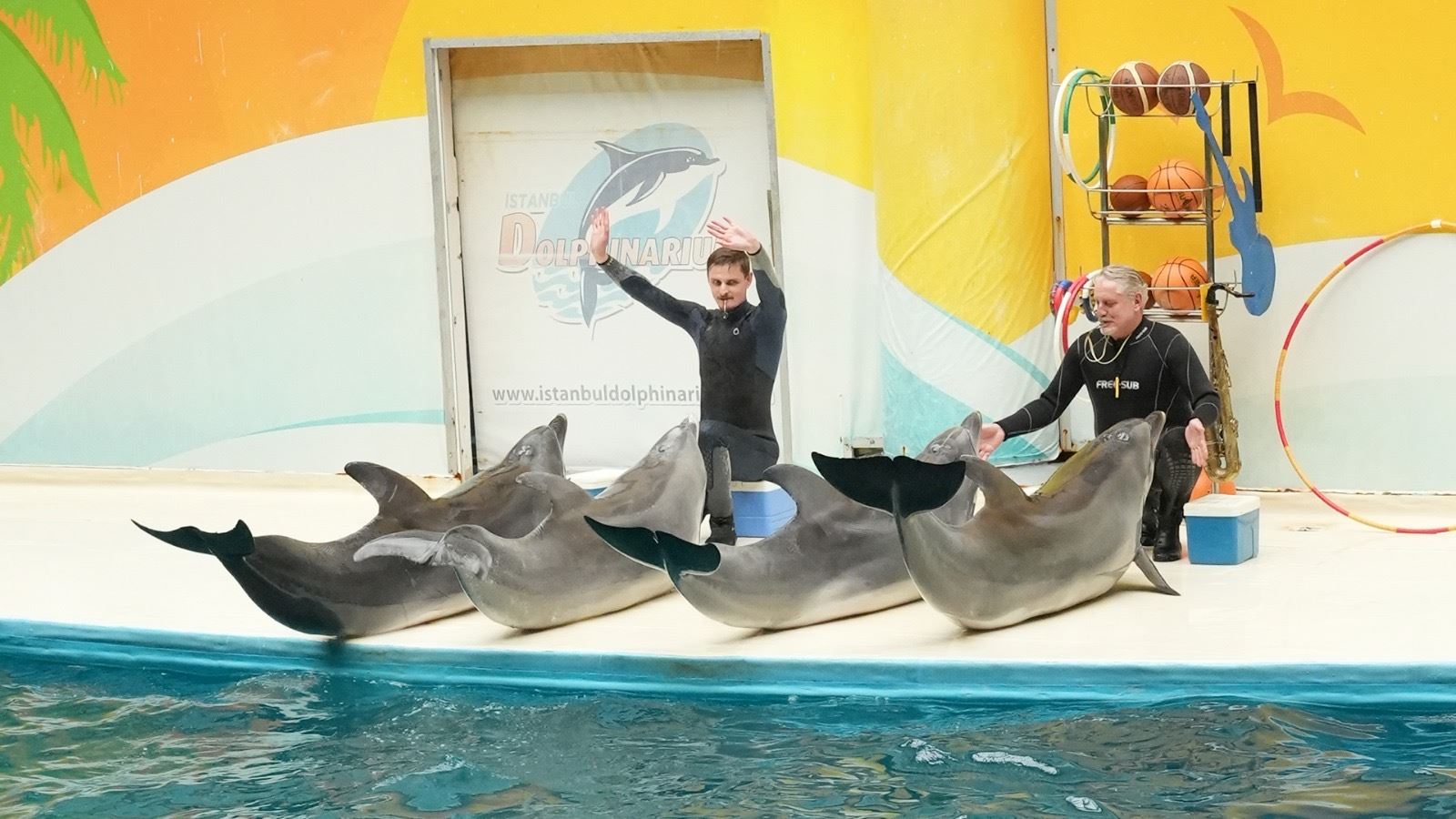 İstanbul Dolphinarium